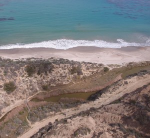 Water Canyon Beach and Estuary